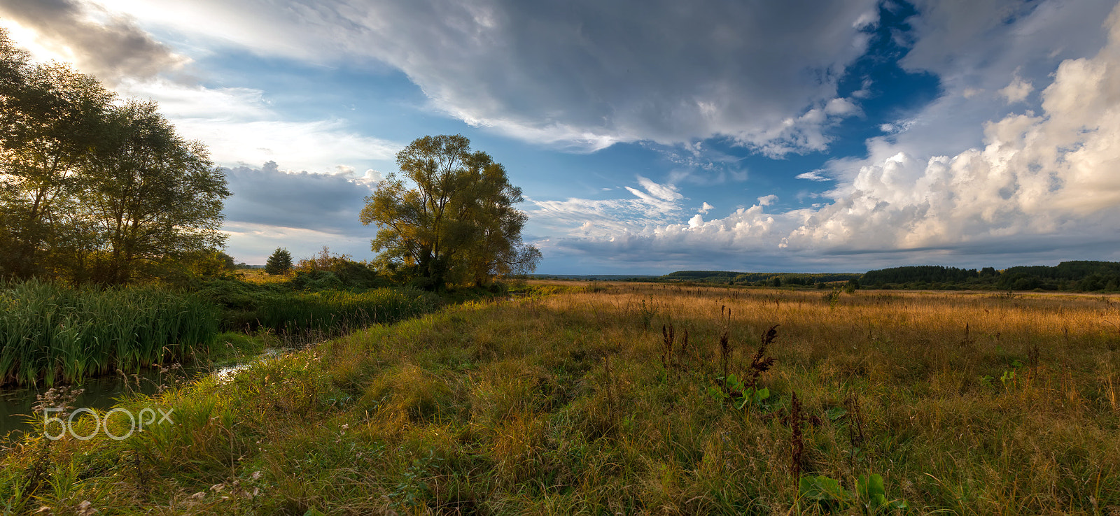 Nikon D600 + AF Zoom-Nikkor 28-85mm f/3.5-4.5 sample photo. На Варнаве photography