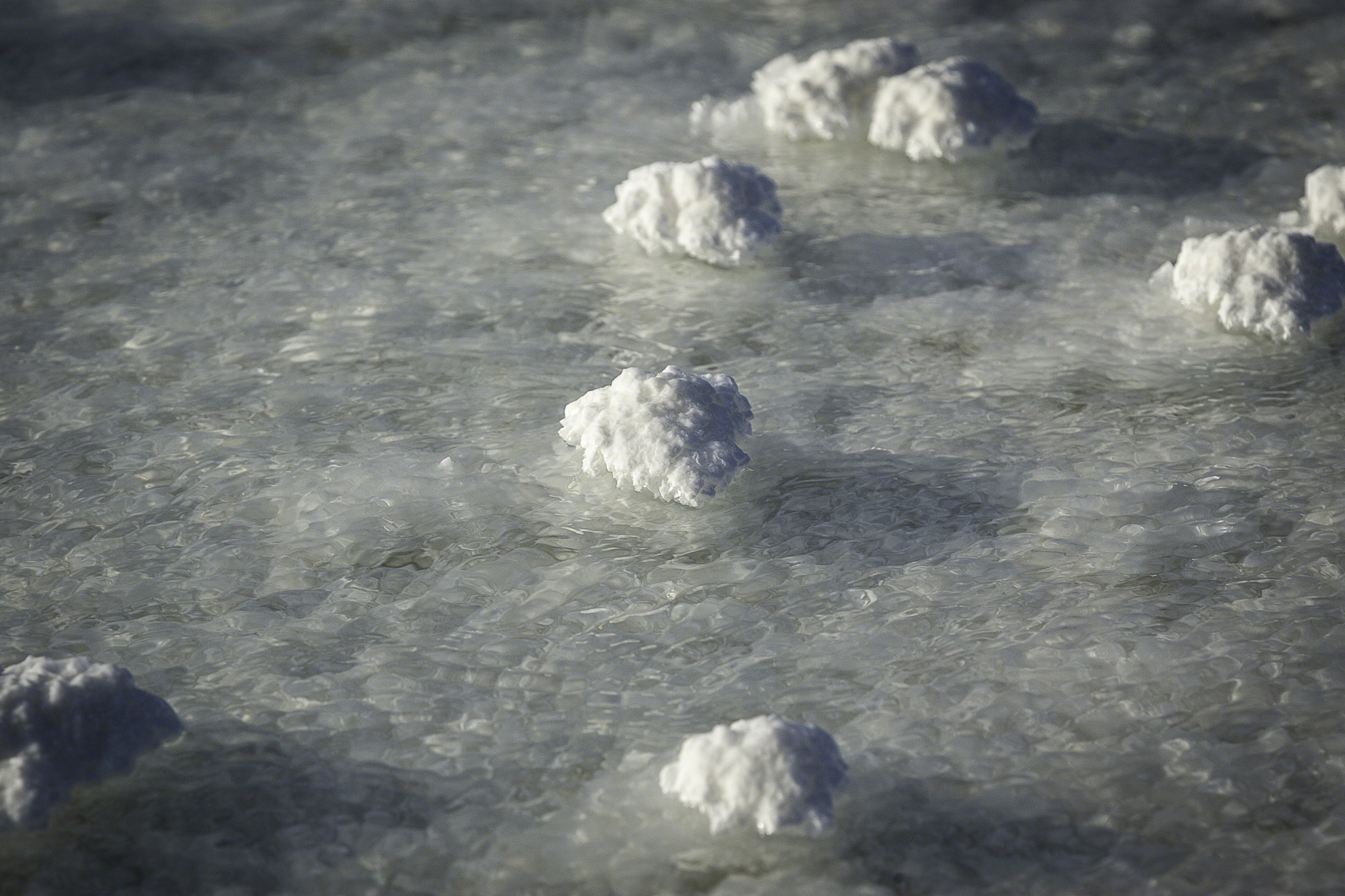 Canon EOS-1D Mark II sample photo. Salt crystals in lac asal photography