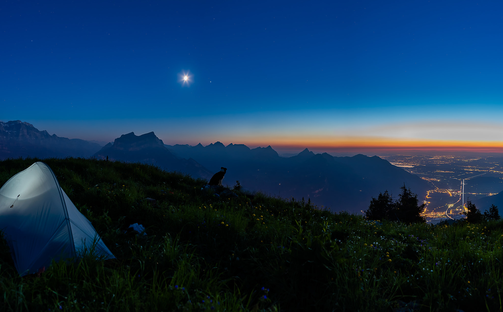 Nikon D750 + Samyang 12mm F2.8 ED AS NCS Fisheye sample photo. Doggie enjoying the view photography