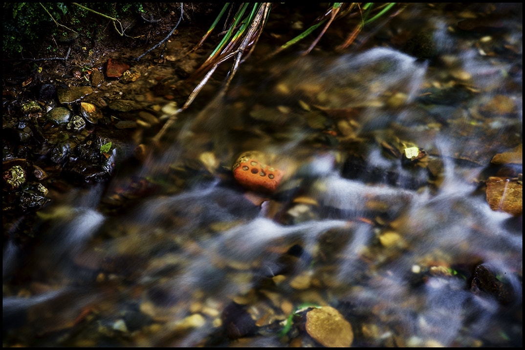 Fujifilm X-Pro1 + Fujifilm XF 60mm F2.4 R Macro sample photo. Exmoor stream. photography