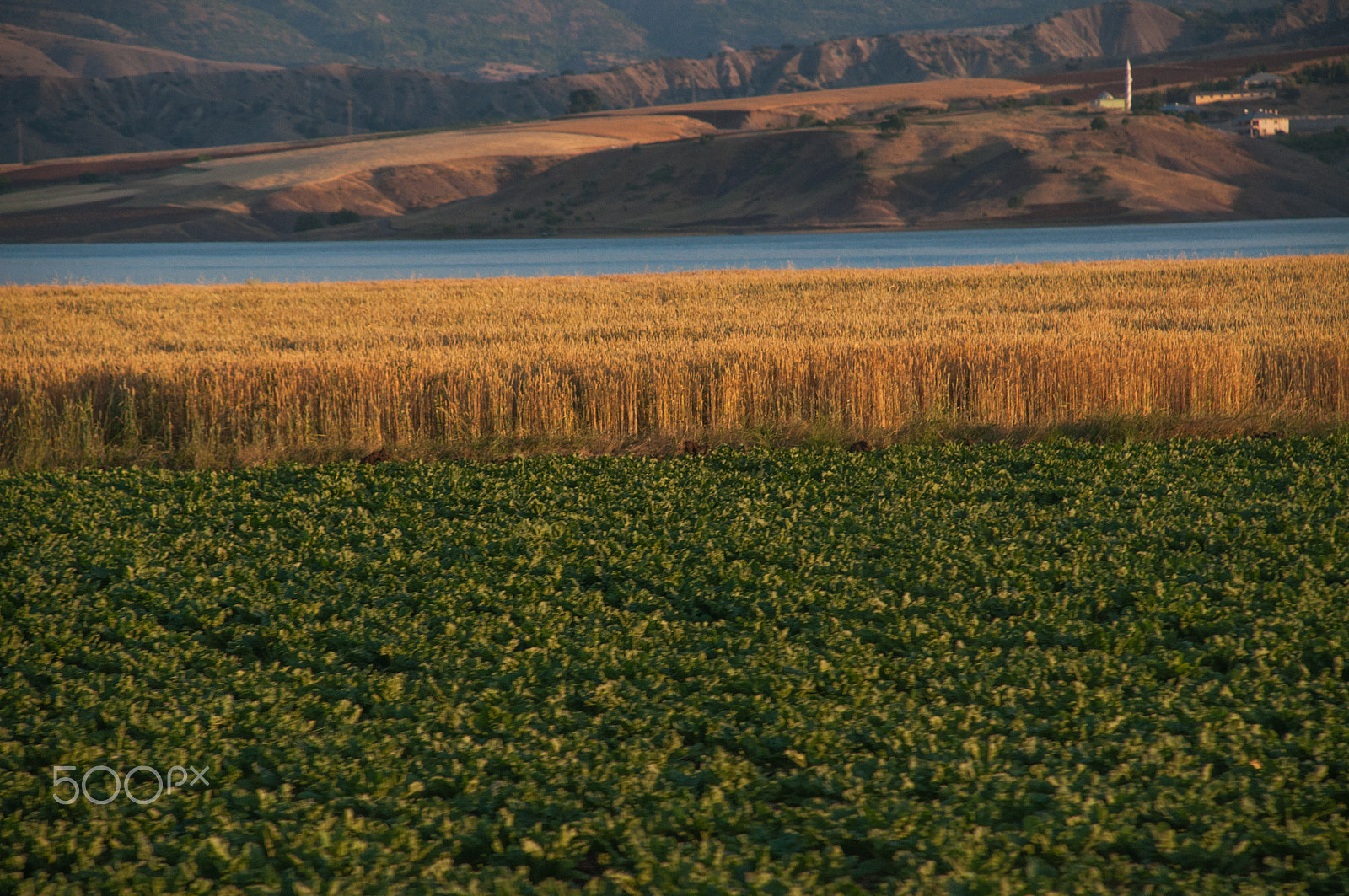 Nikon D5000 sample photo. Riverside photography
