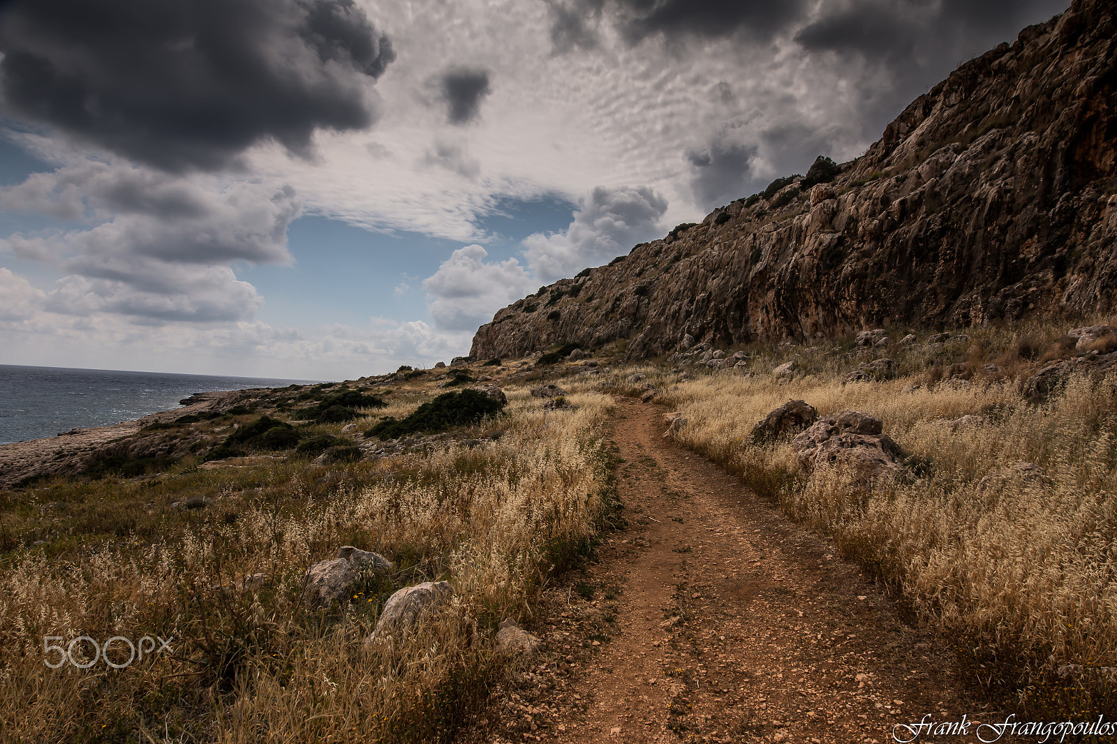 Sigma 12-24mm F4.5-5.6 II DG HSM sample photo. () photography