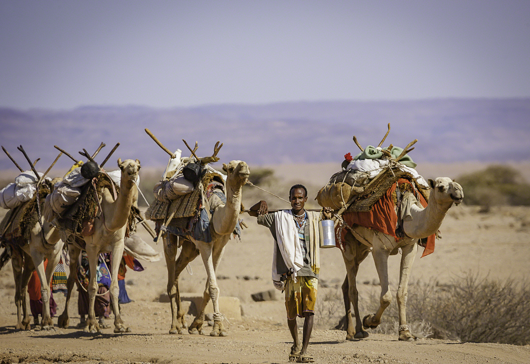 Canon EOS-1D Mark II sample photo. Camel caravane in the grand bara desert photography