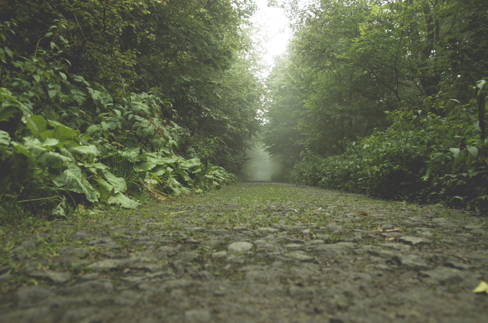 Sigma 17-50mm F2.8 EX DC HSM sample photo. Into the unknown photography