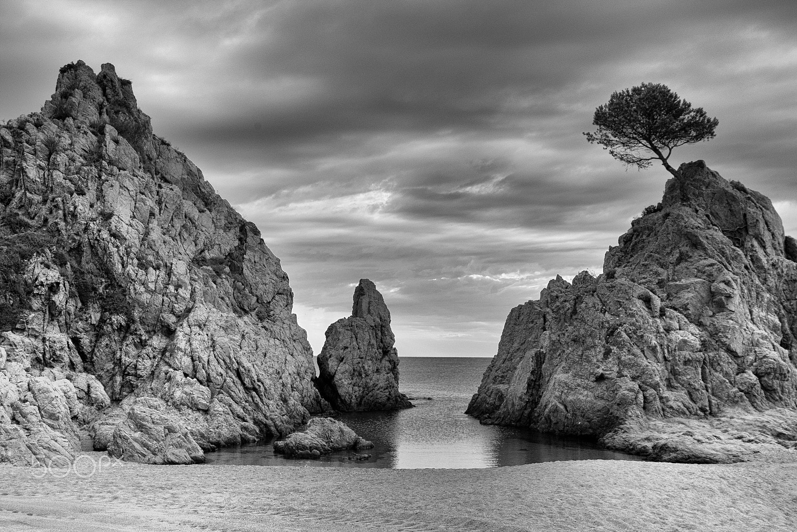 Pentax *ist DL sample photo. Tree on a little cove photography