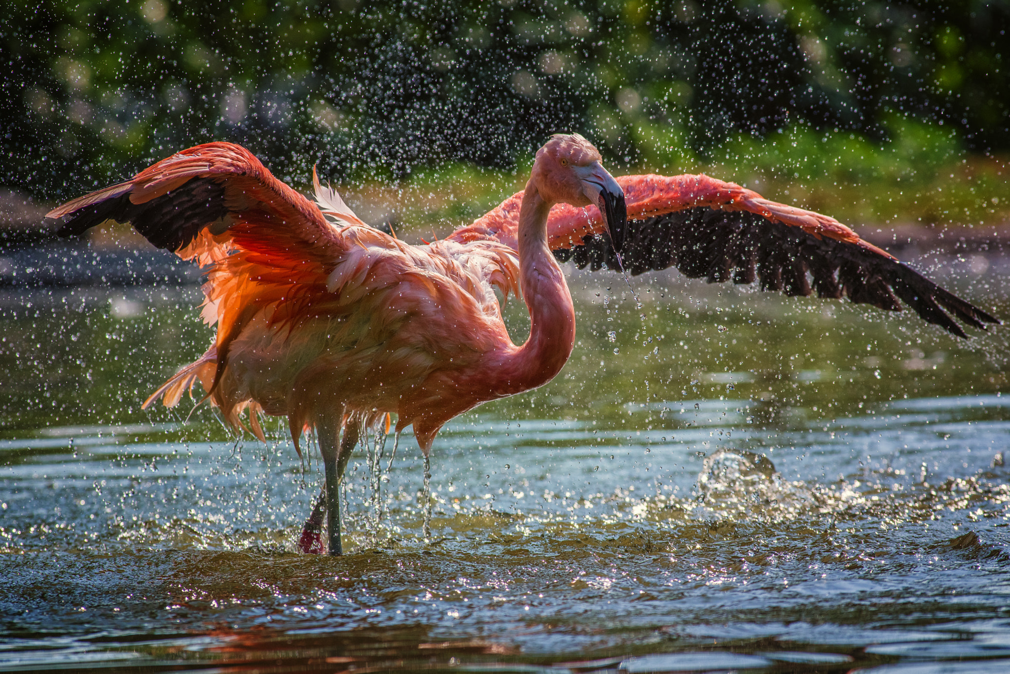 Pentax K-1 sample photo. After the bath photography