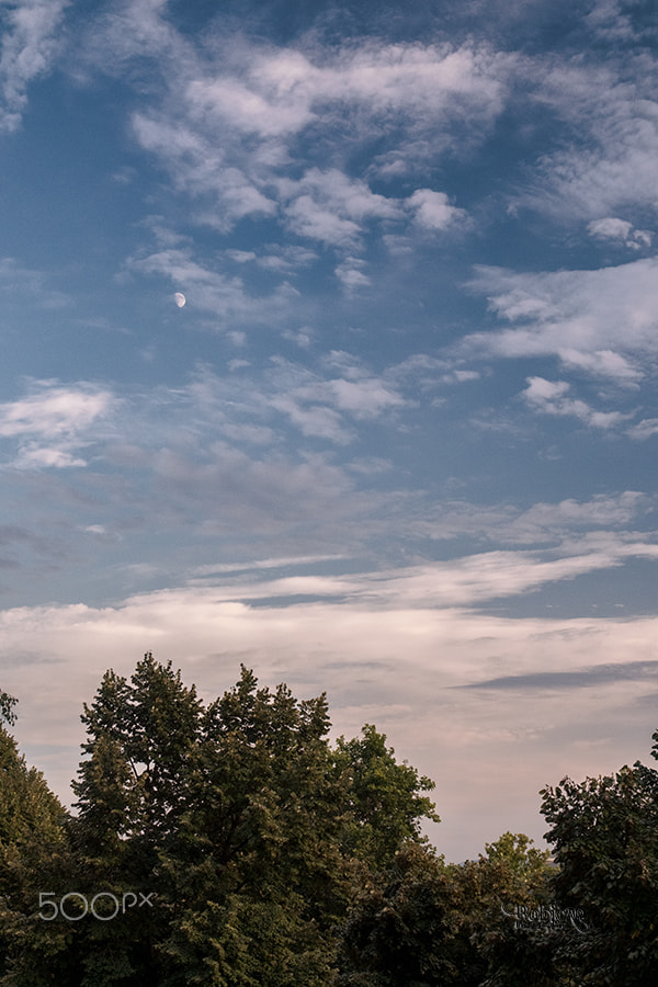 Sigma 17-70mm F2.8-4 DC Macro OS HSM sample photo. The moon photography
