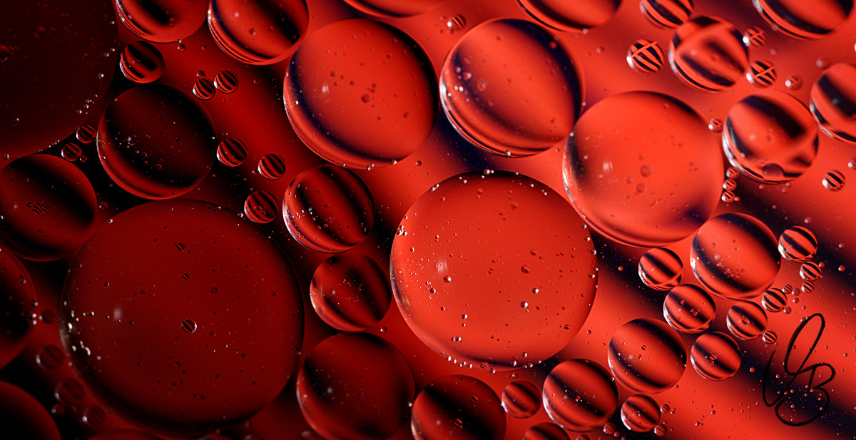 Sigma 105mm F2.8 EX DG OS HSM sample photo. Red drops #1 photography