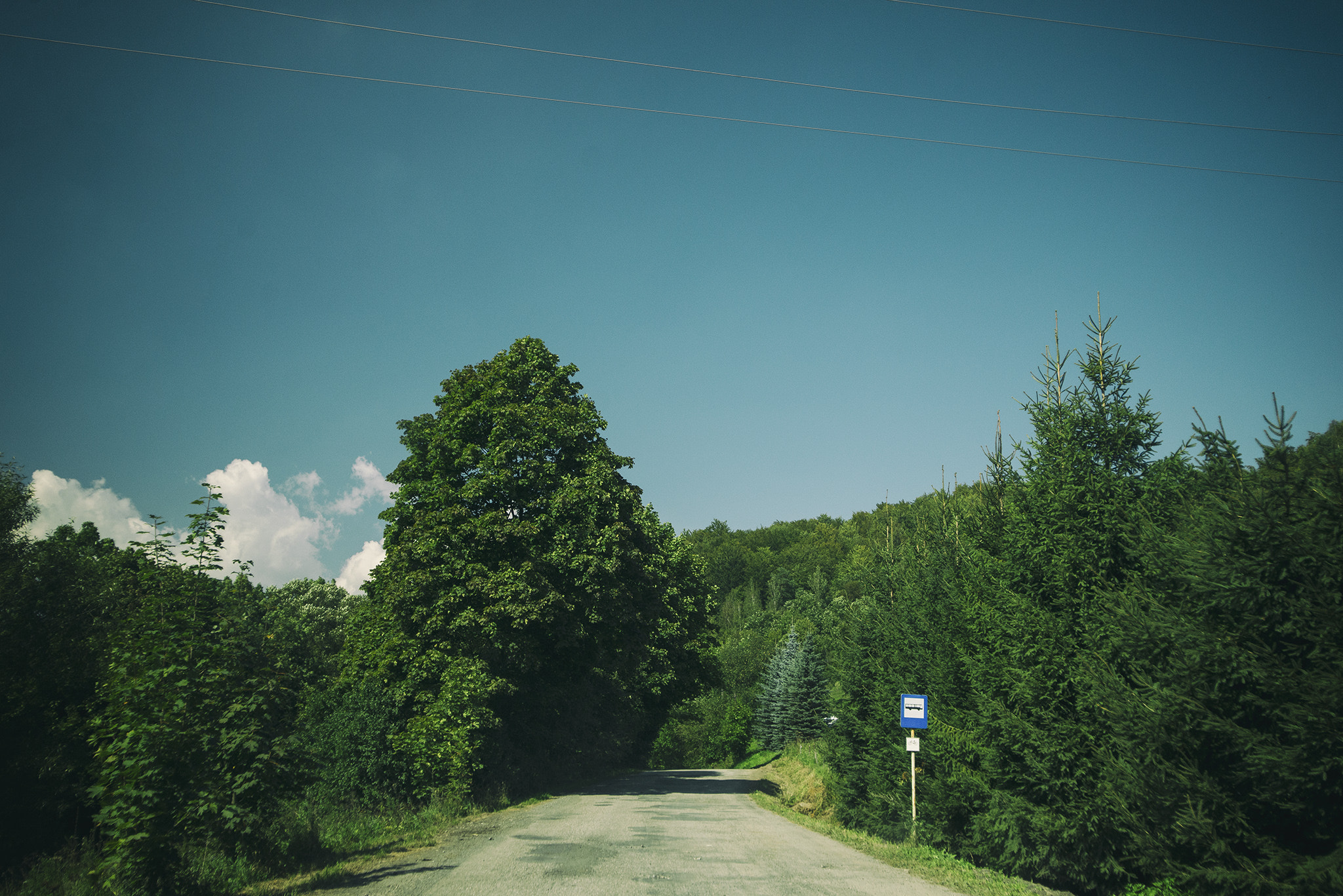 Nikon D600 sample photo. Rural photography