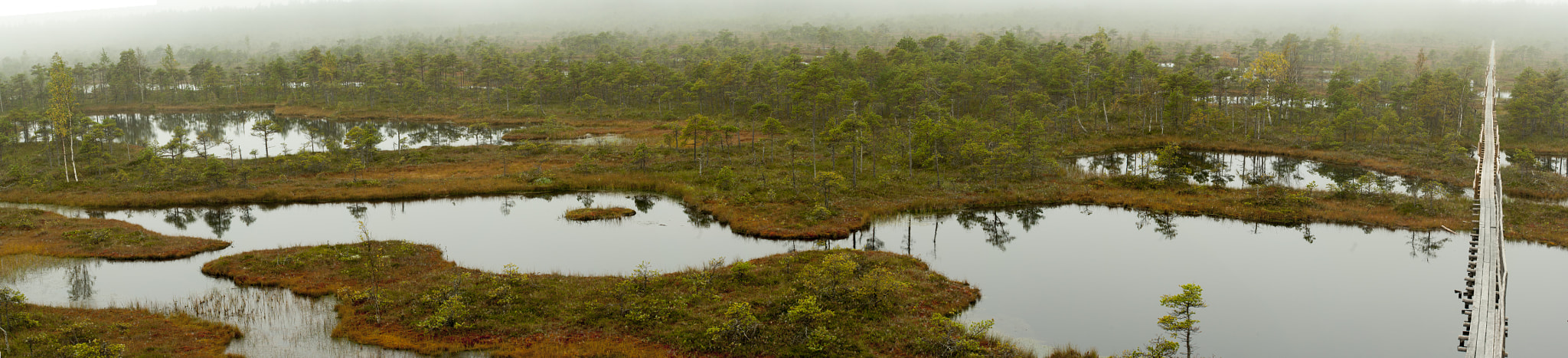 Pentax K20D sample photo. Endla bog photography