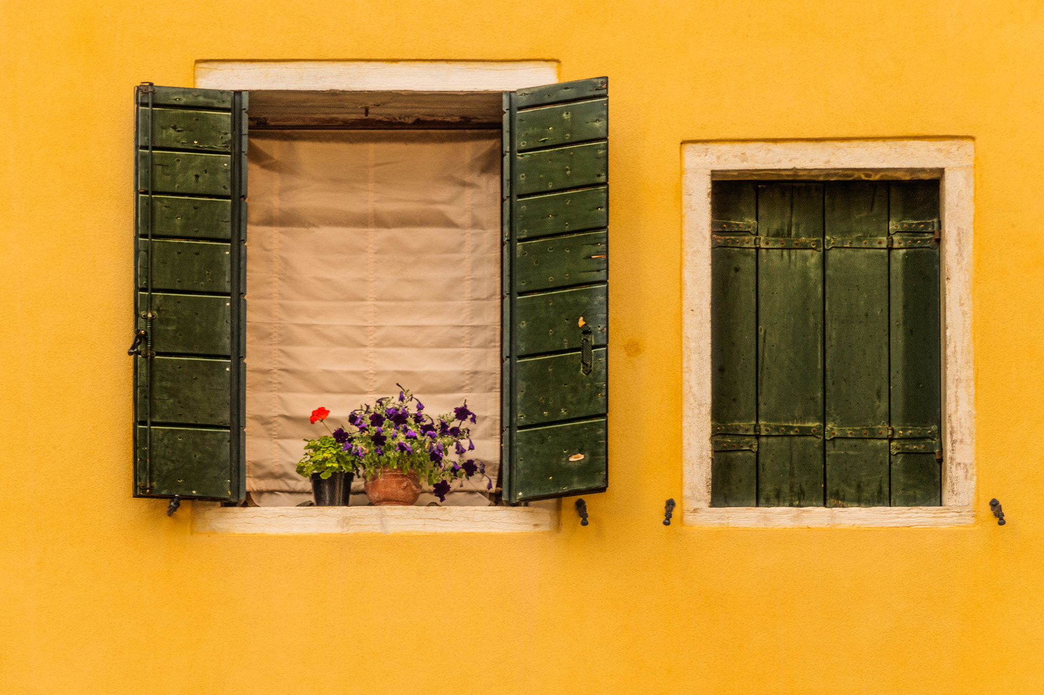 Nikon D5 sample photo. Windows ... photography