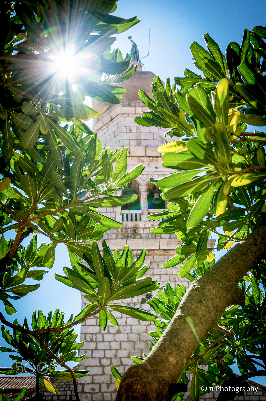 Sigma 17-70mm F2.8-4 DC Macro OS HSM | C sample photo. Hidden from the sun photography