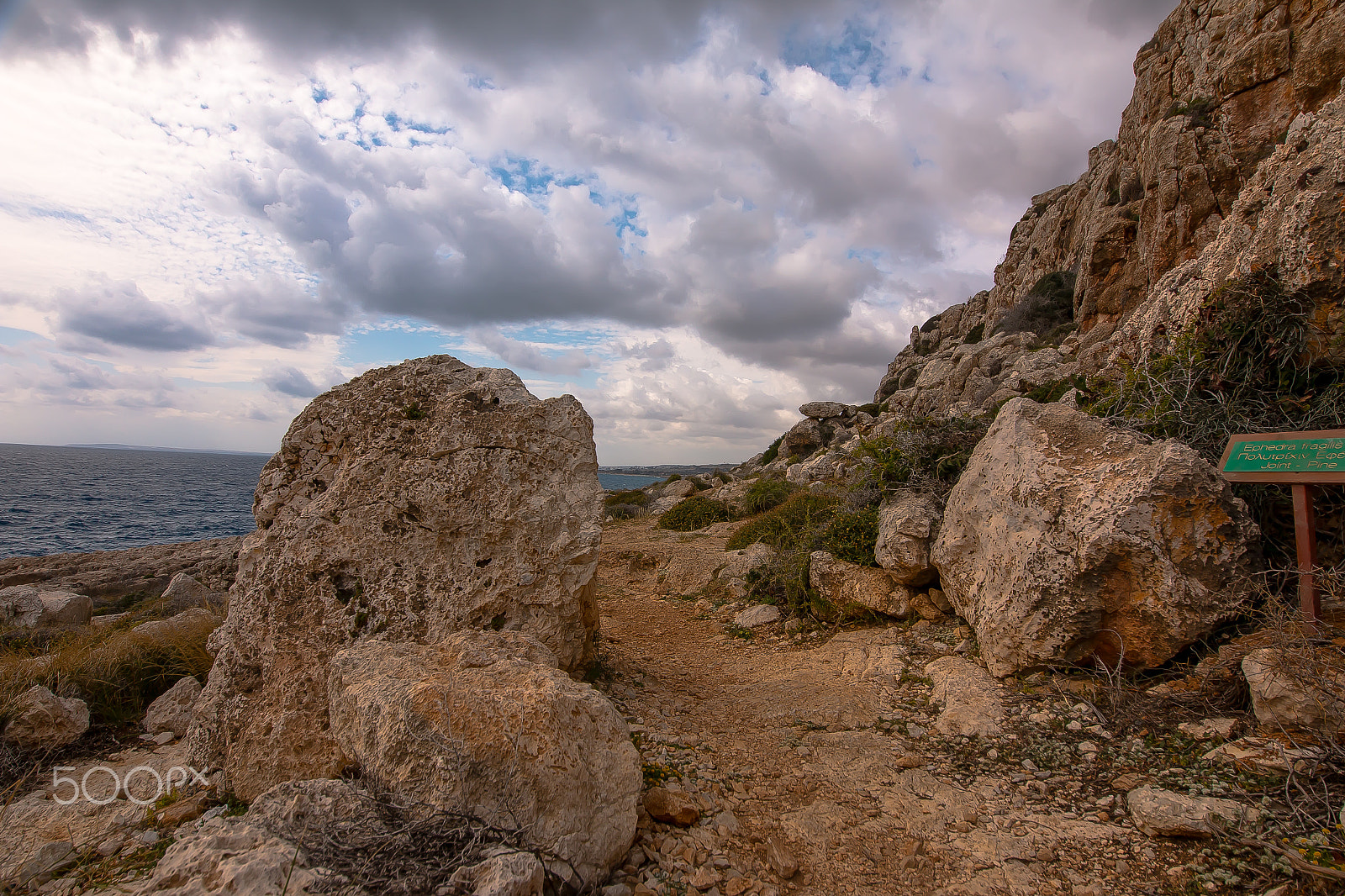 Sigma 12-24mm F4.5-5.6 II DG HSM sample photo. Mg photography