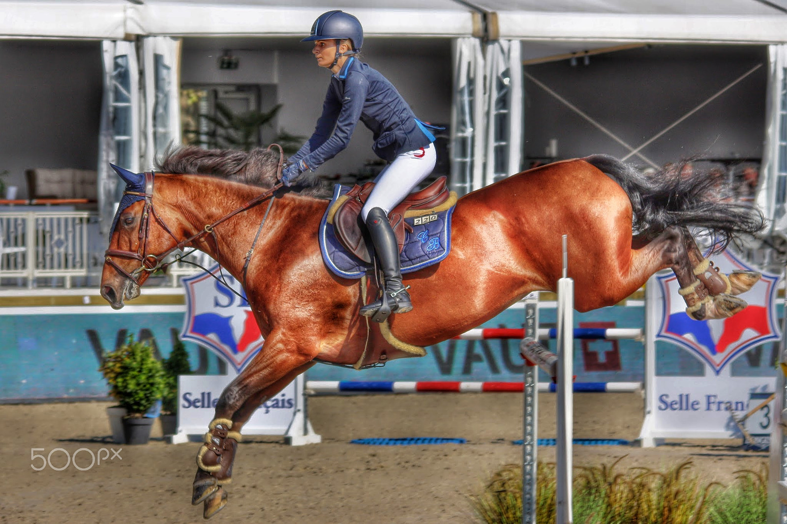 Sigma 150-500mm F5-6.3 DG OS HSM sample photo. Longines horse show lausanne bellerive () photography