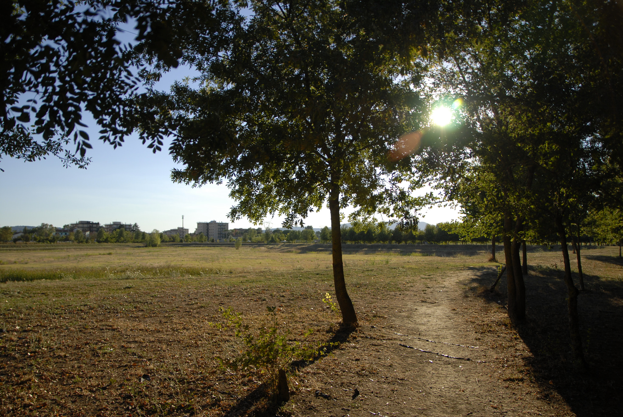 Sigma 17-70mm F2.8-4 DC Macro OS HSM sample photo. Fra gli alberi... photography