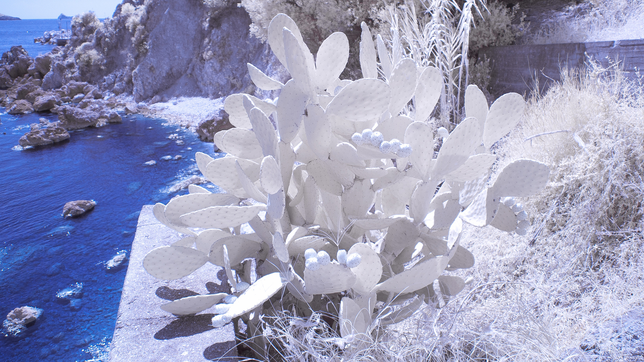 Nikon D5000 sample photo. Greece. photography