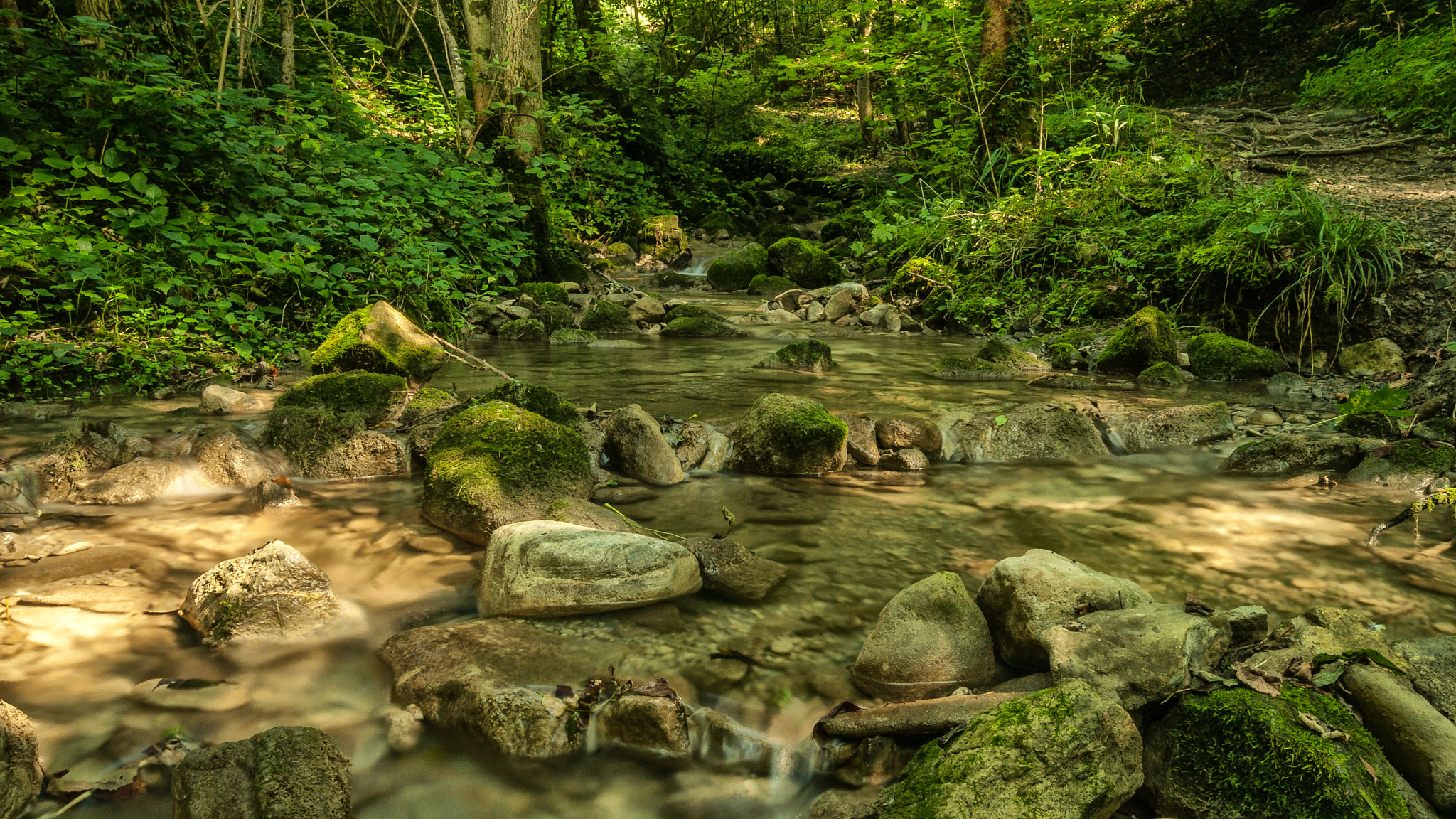 Nikon D200 sample photo. Vz photography