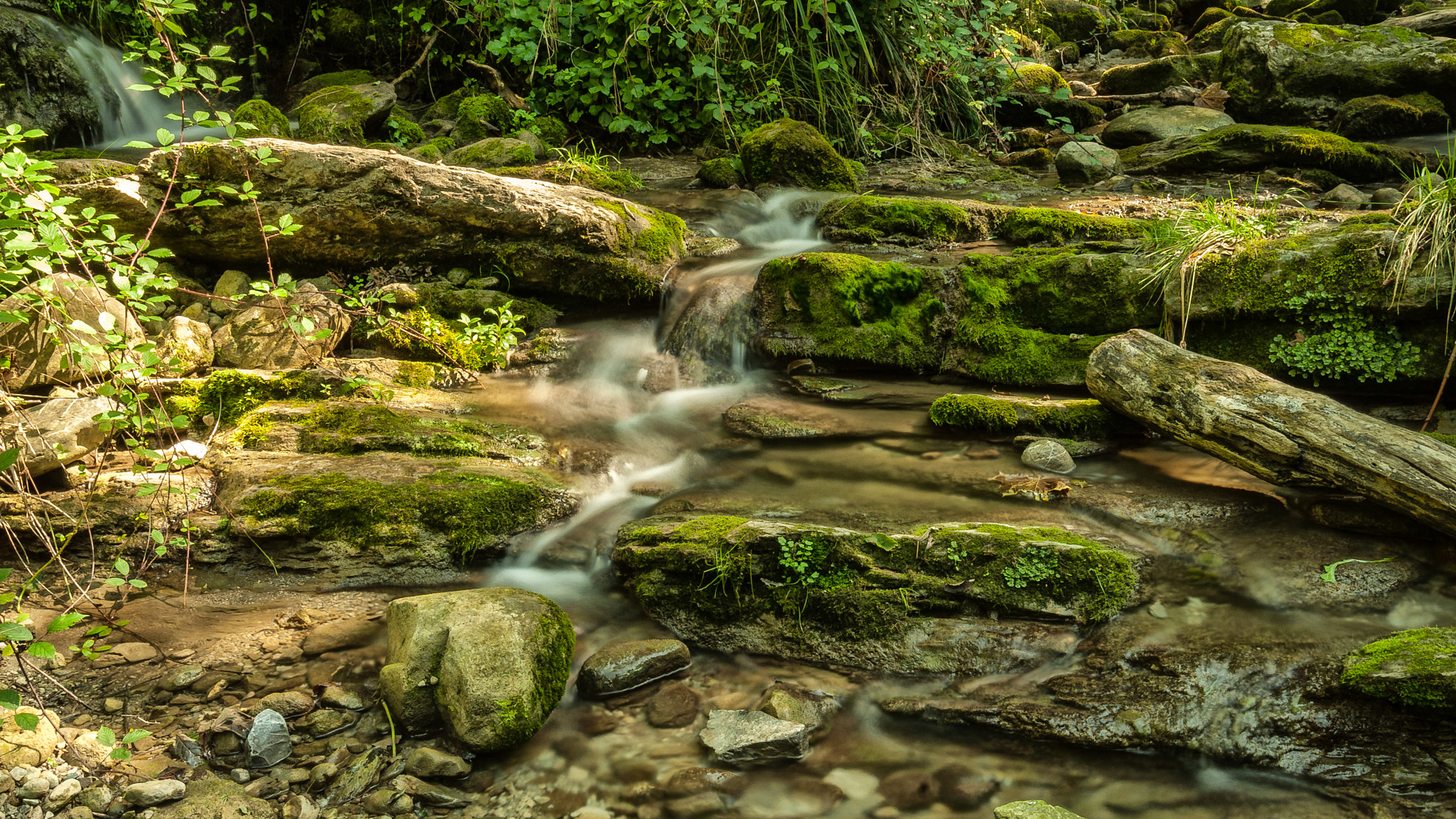 Nikon D200 sample photo. Vz photography