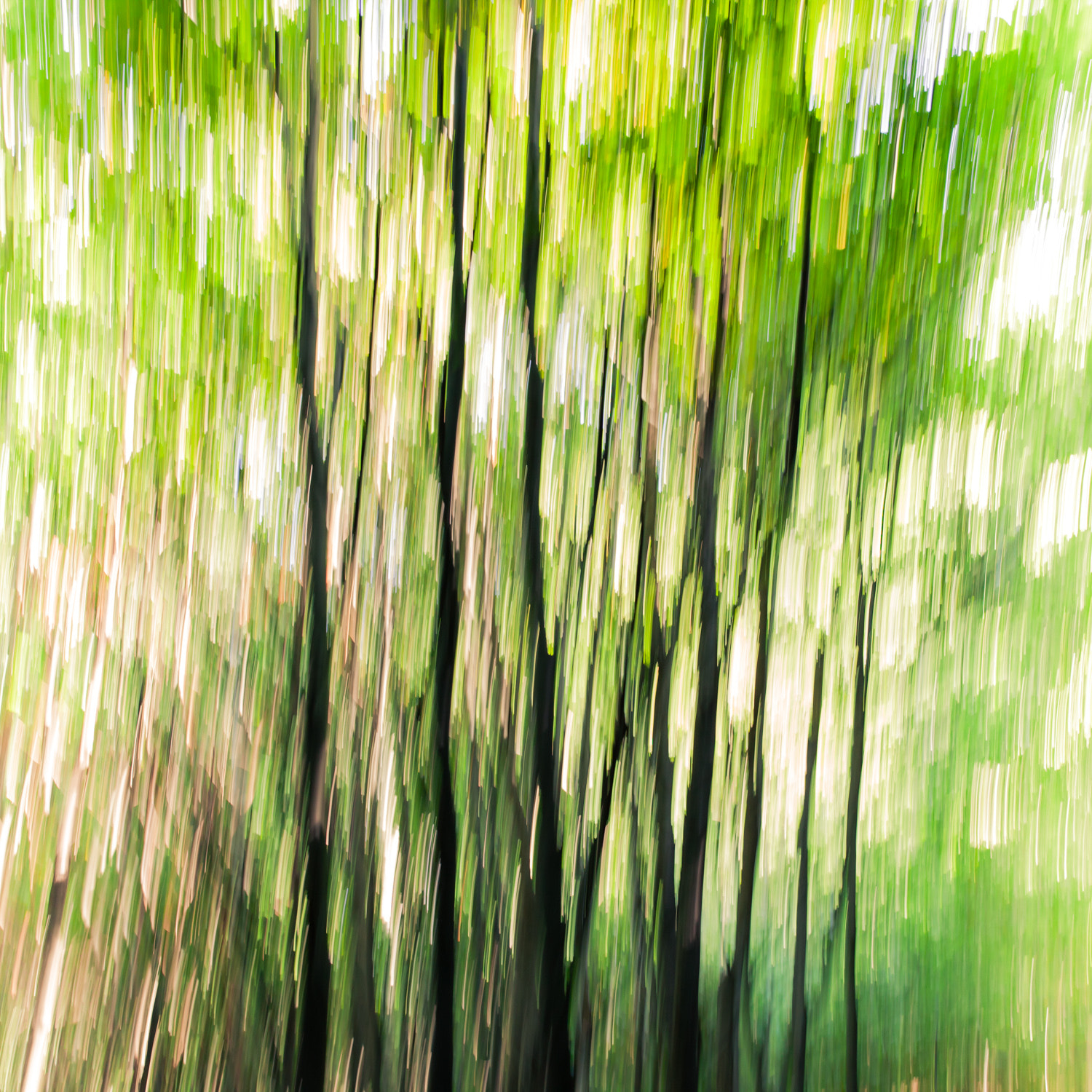 Canon EF 35mm F1.4L II USM sample photo. Abstract photography