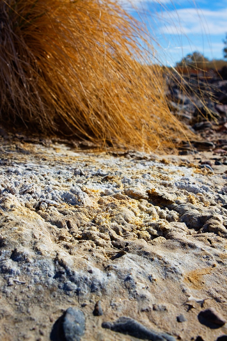 Canon EOS 50D sample photo. Salt is one of the characters of death valley that ... photography