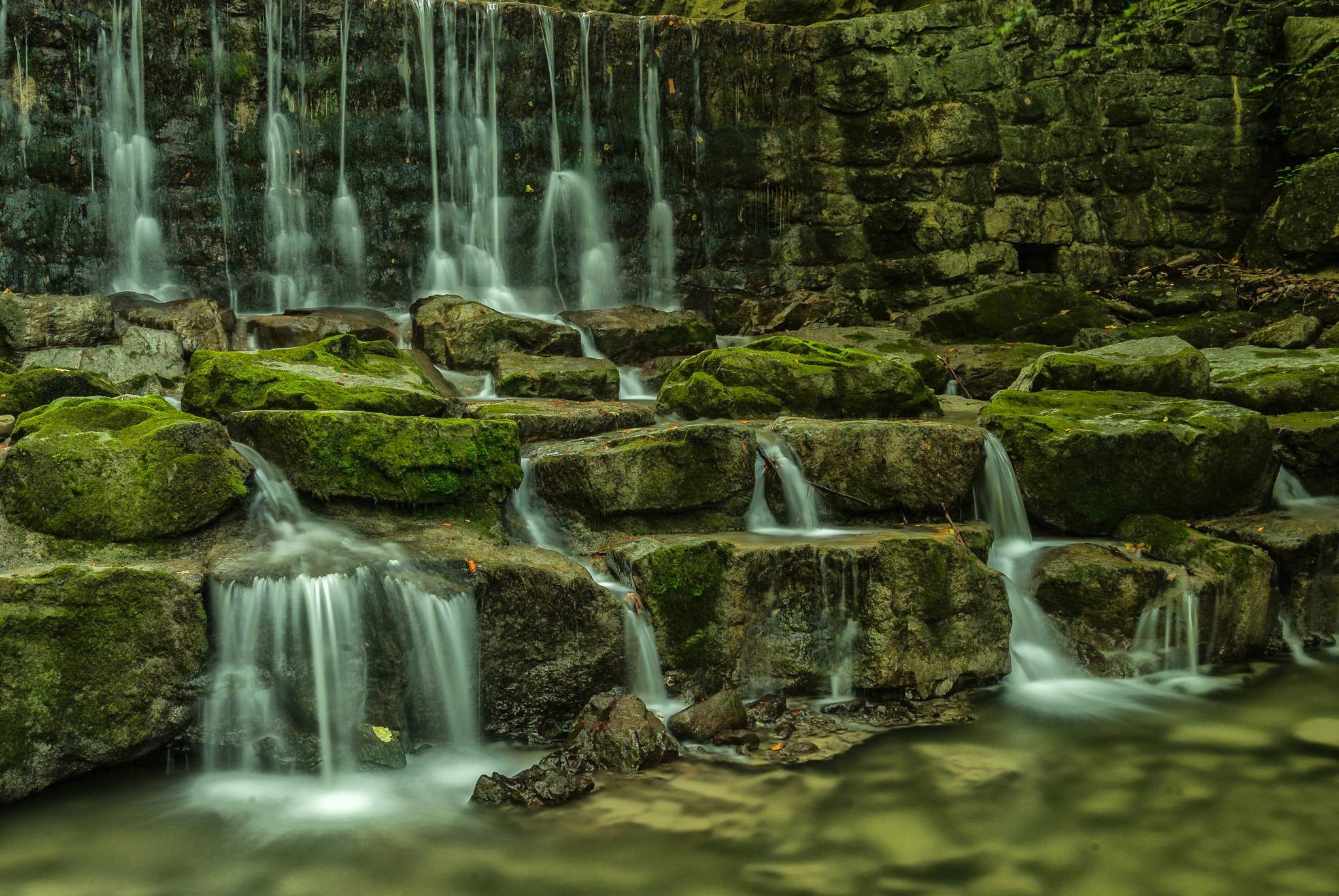Nikon D200 sample photo. Vz photography