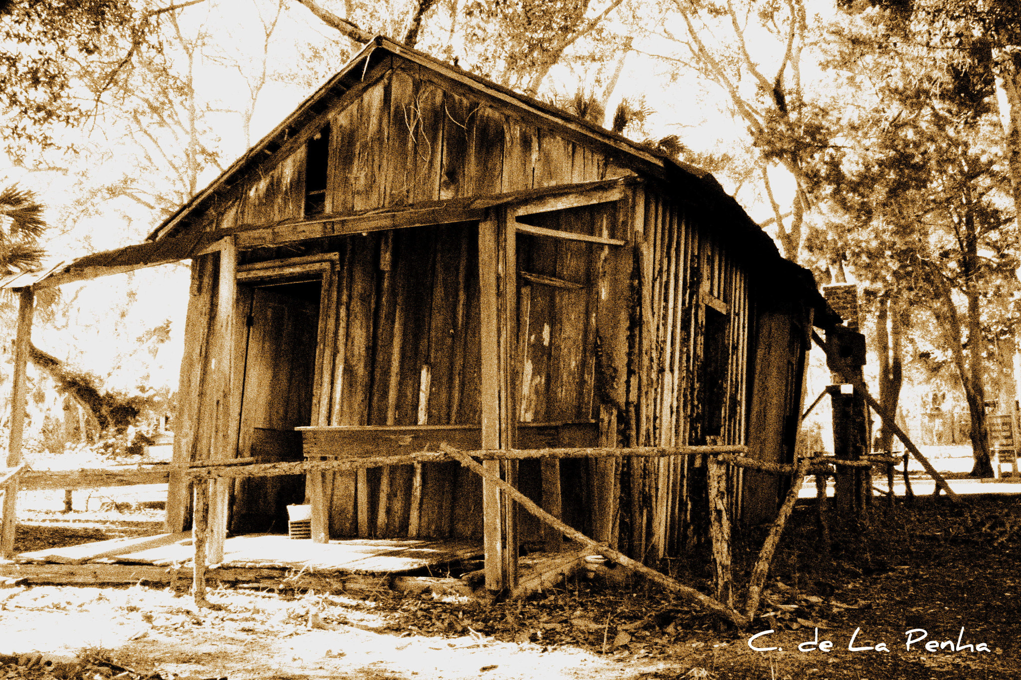 Canon EOS 400D (EOS Digital Rebel XTi / EOS Kiss Digital X) sample photo. Small wooden shack behind orman house o photography