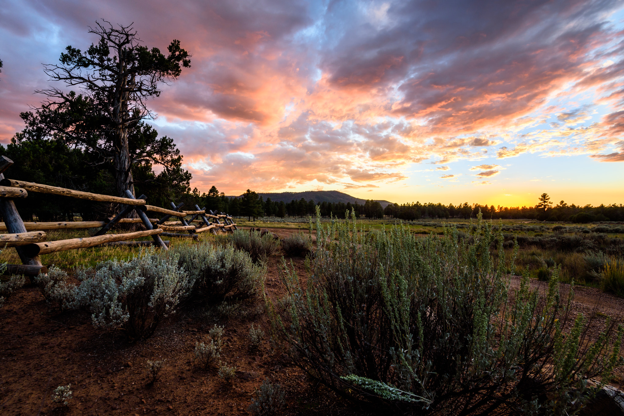 Samyang 14mm F2.8 ED AS IF UMC sample photo. Sunset at mt. trumbull, arizona photography