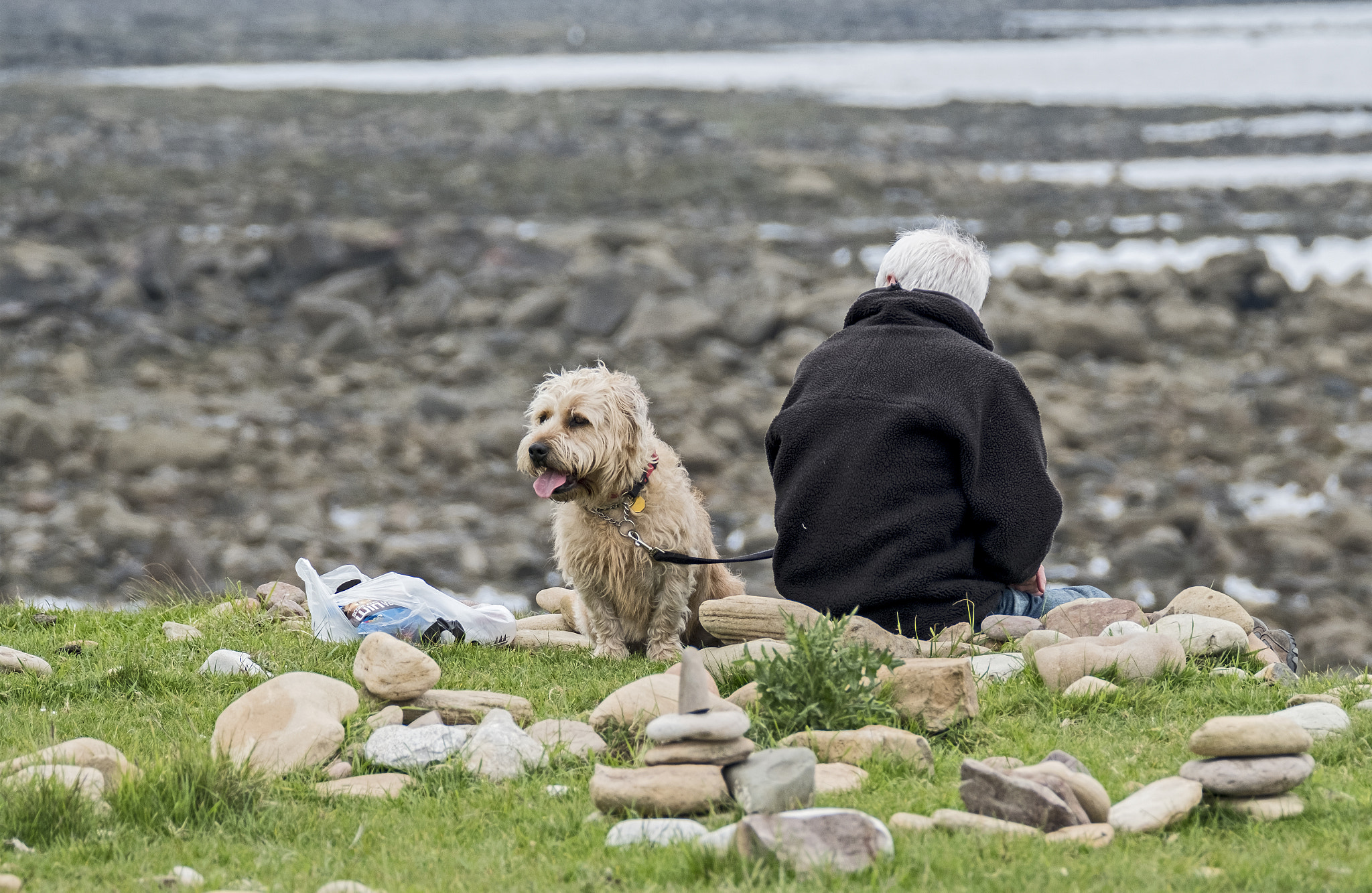 Fujifilm X-Pro2 + XF100-400mmF4.5-5.6 R LM OIS WR + 1.4x sample photo. There's a great view this way dad. photography