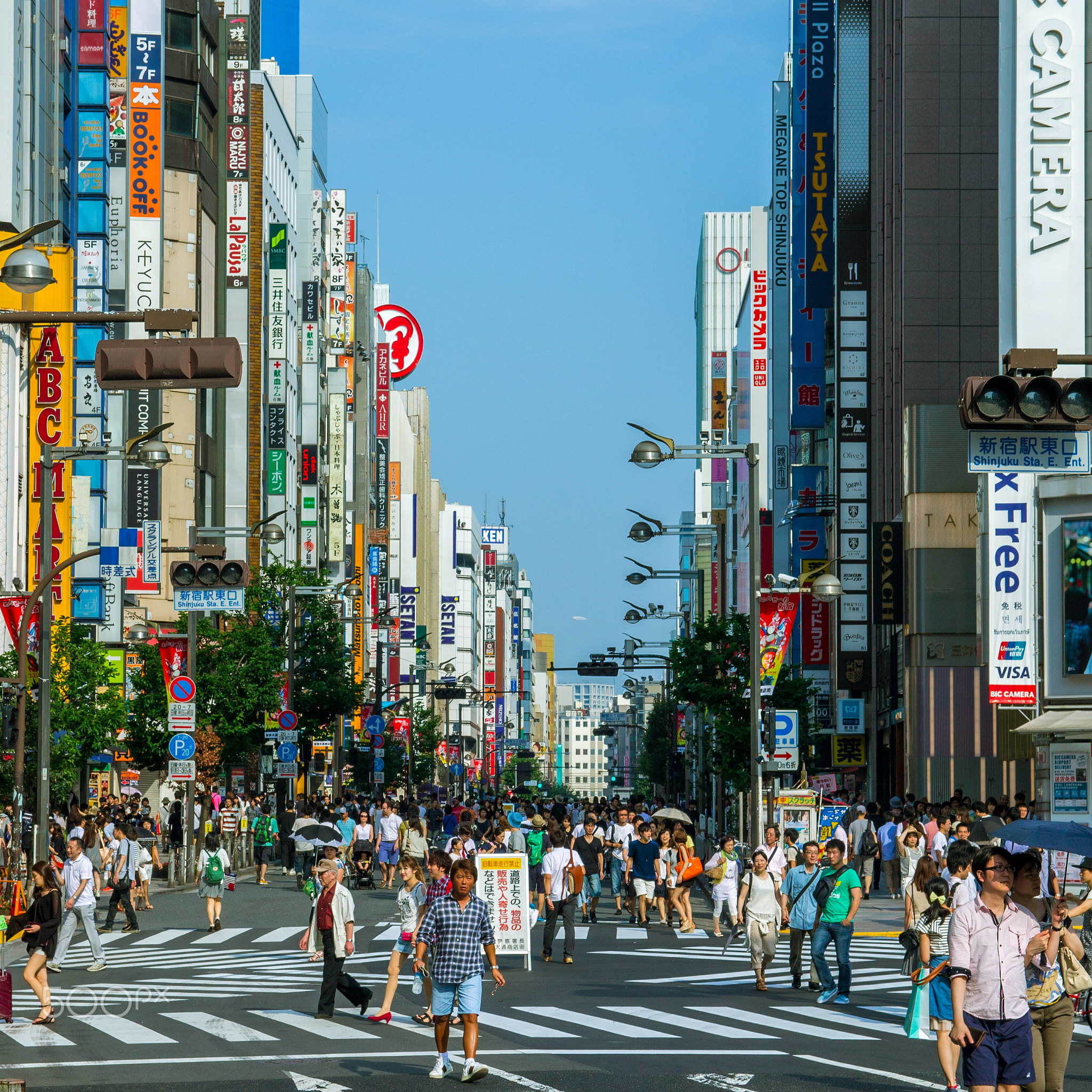 The Beautiful Visual Polution of Shinjuku