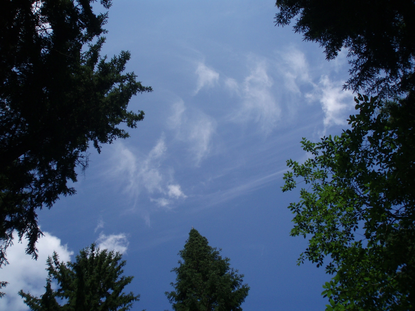 Olympus u700,S700 sample photo. Mountains in the sky photography