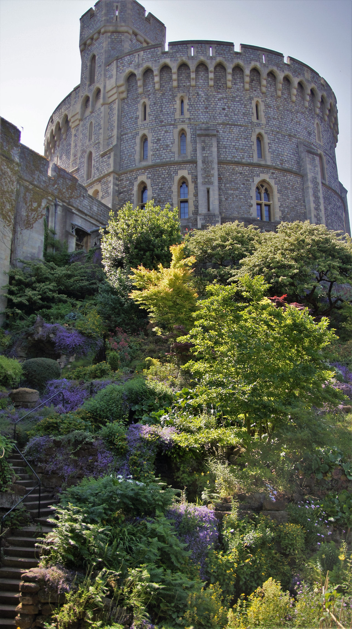 Sony SLT-A33 sample photo. Windsor photography