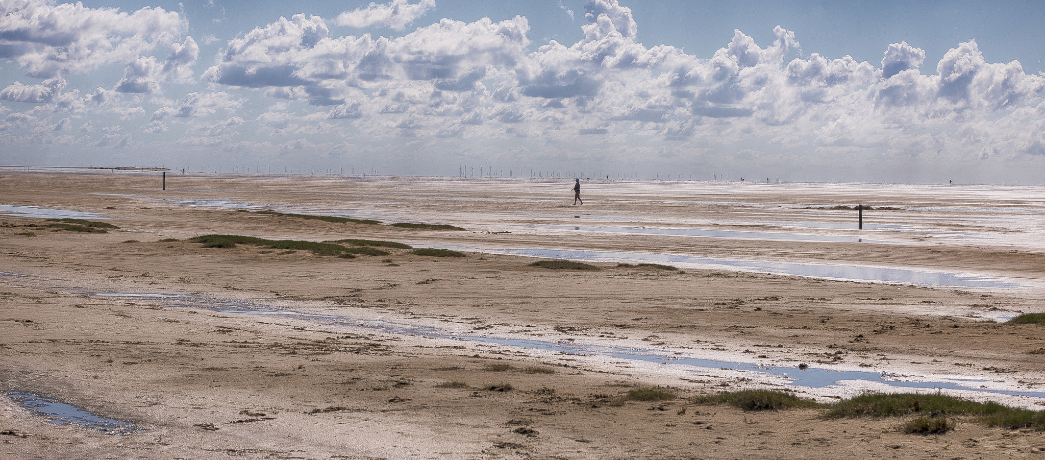 Sigma 70-200mm F2.8 EX DG Macro HSM II sample photo. The beach photography