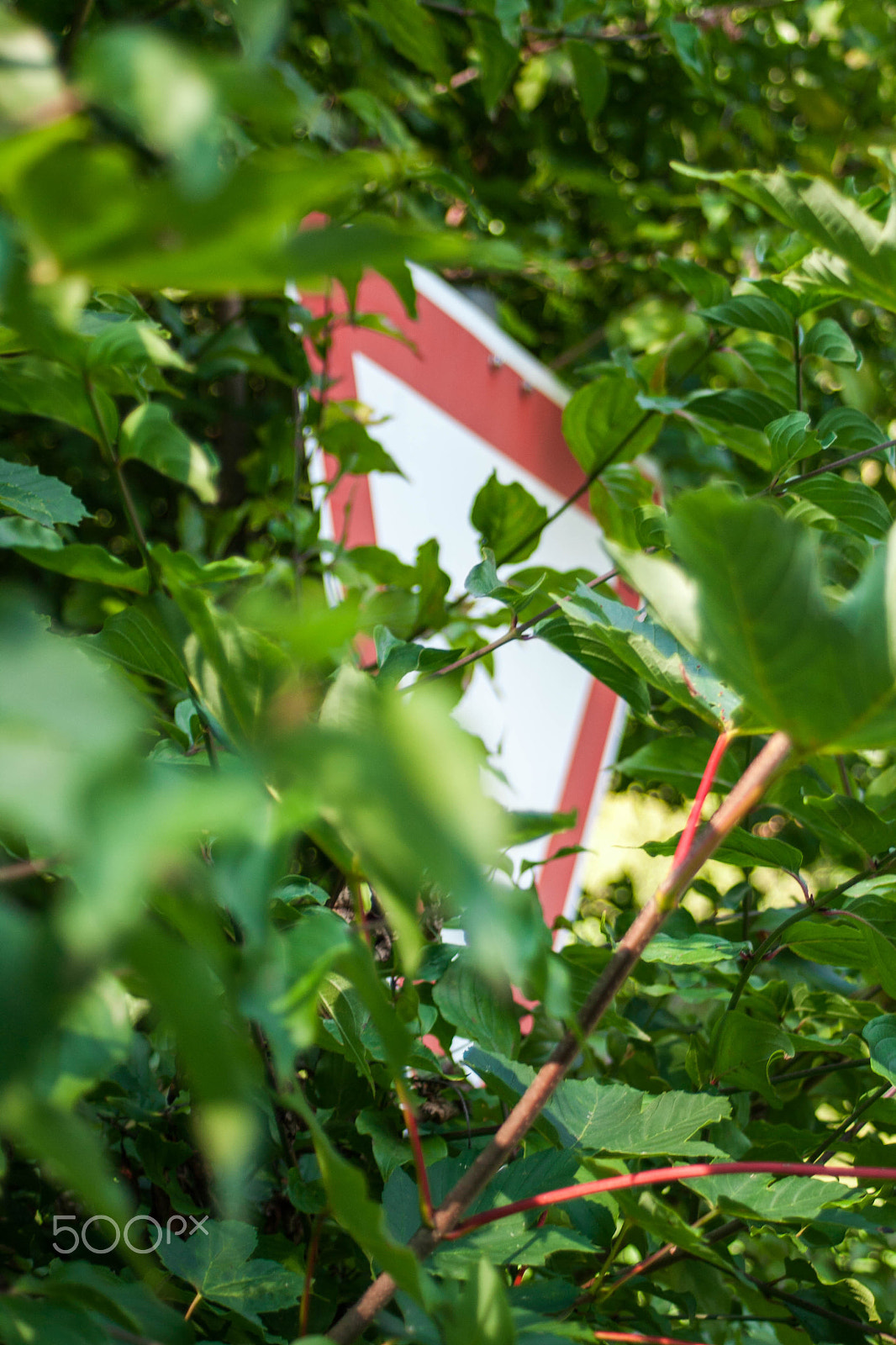 Canon EF 28-80mm f/3.5-5.6 sample photo