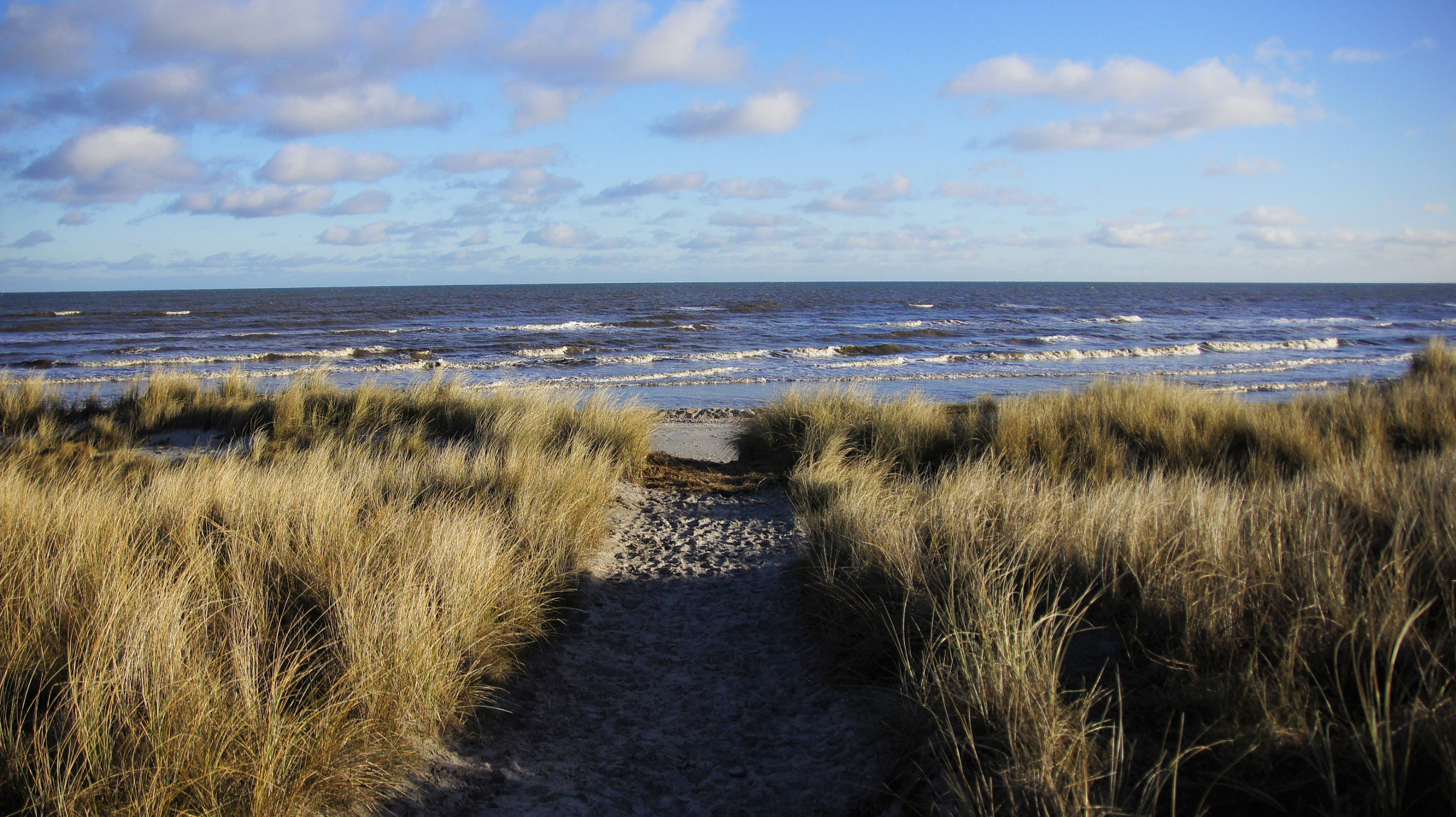 Sony SLT-A33 sample photo. Beach photography