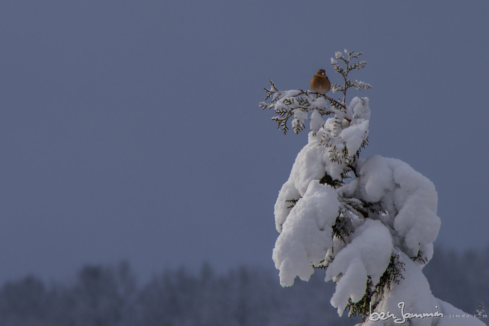 Tamron AF 70-300mm F4-5.6 Di LD Macro sample photo. The lookout - on top of the world photography
