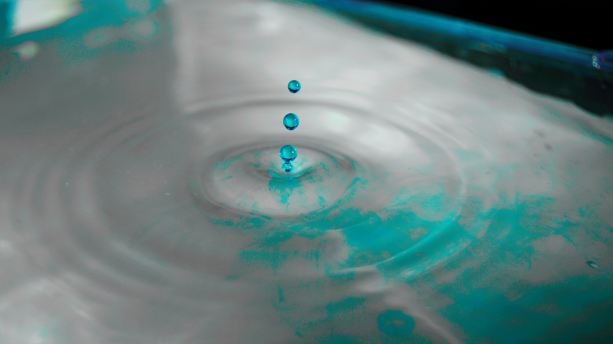 Sony DT 30mm F2.8 Macro SAM sample photo. Artistic photography