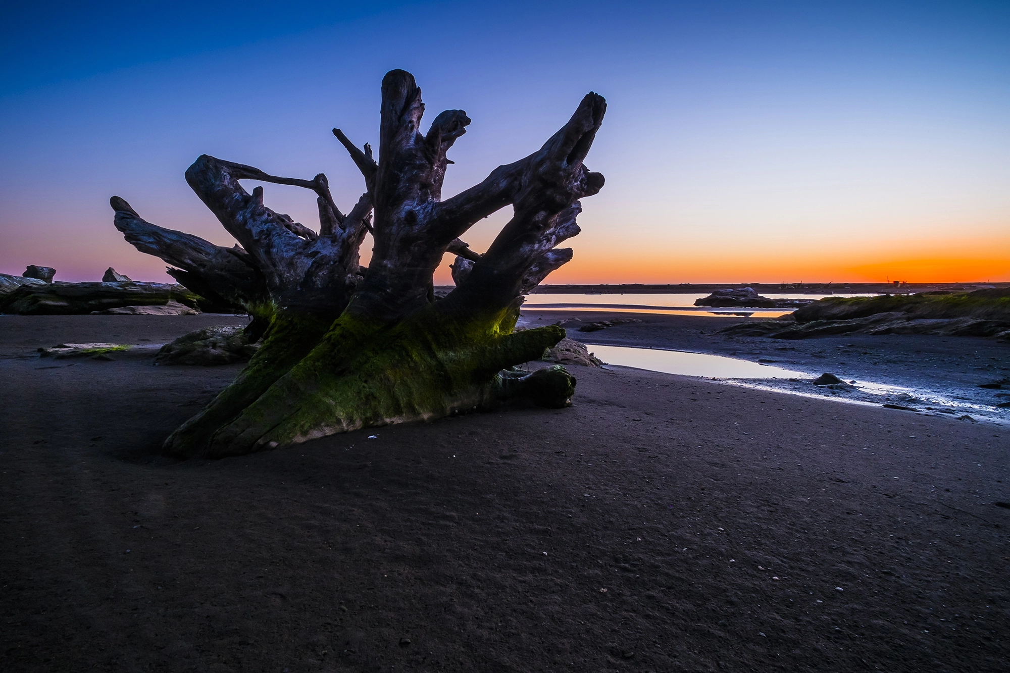 ZEISS Touit 12mm F2.8 sample photo. Lct_dsf4885 photography