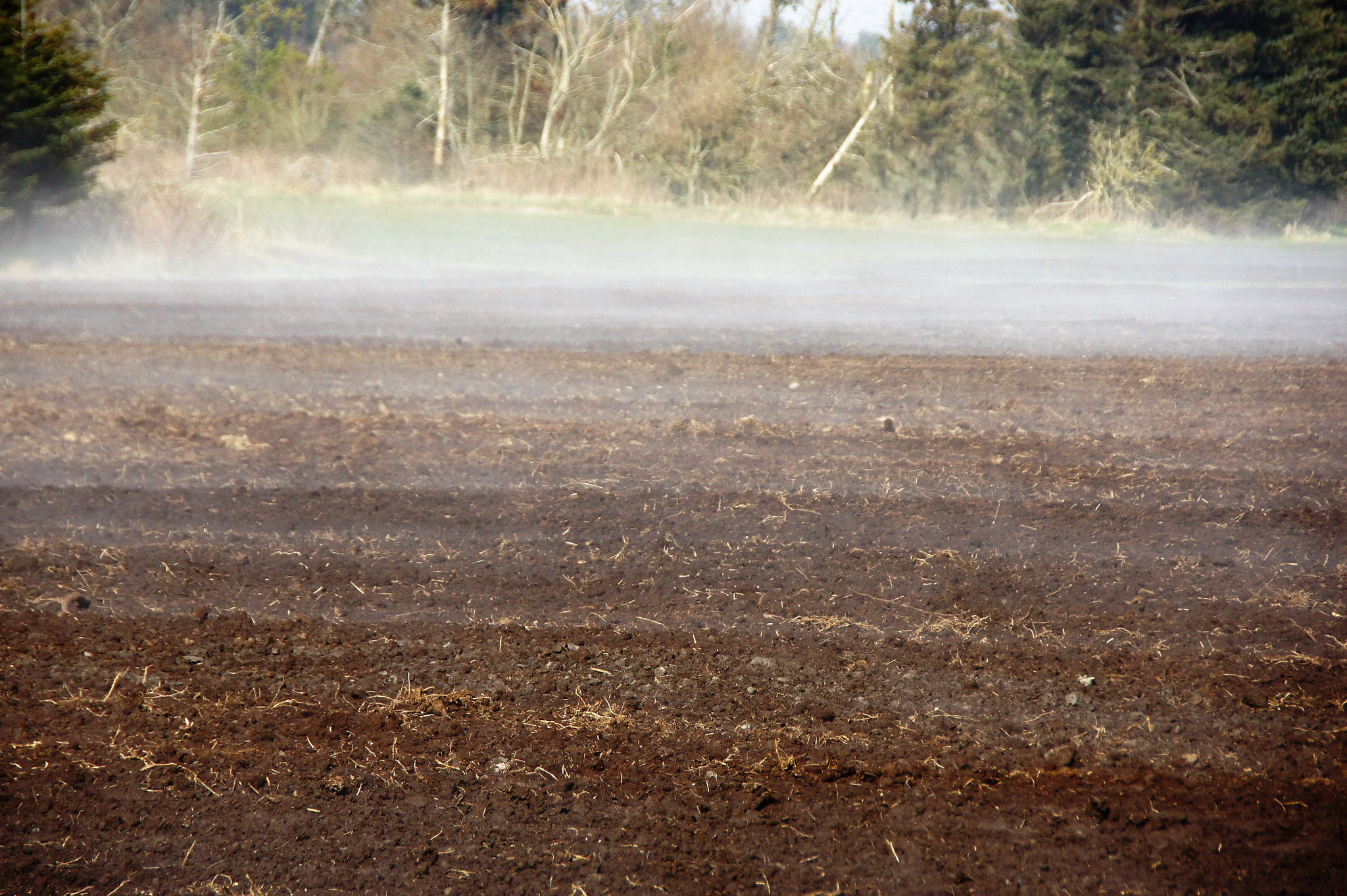 Sony SLT-A33 sample photo. Fog photography