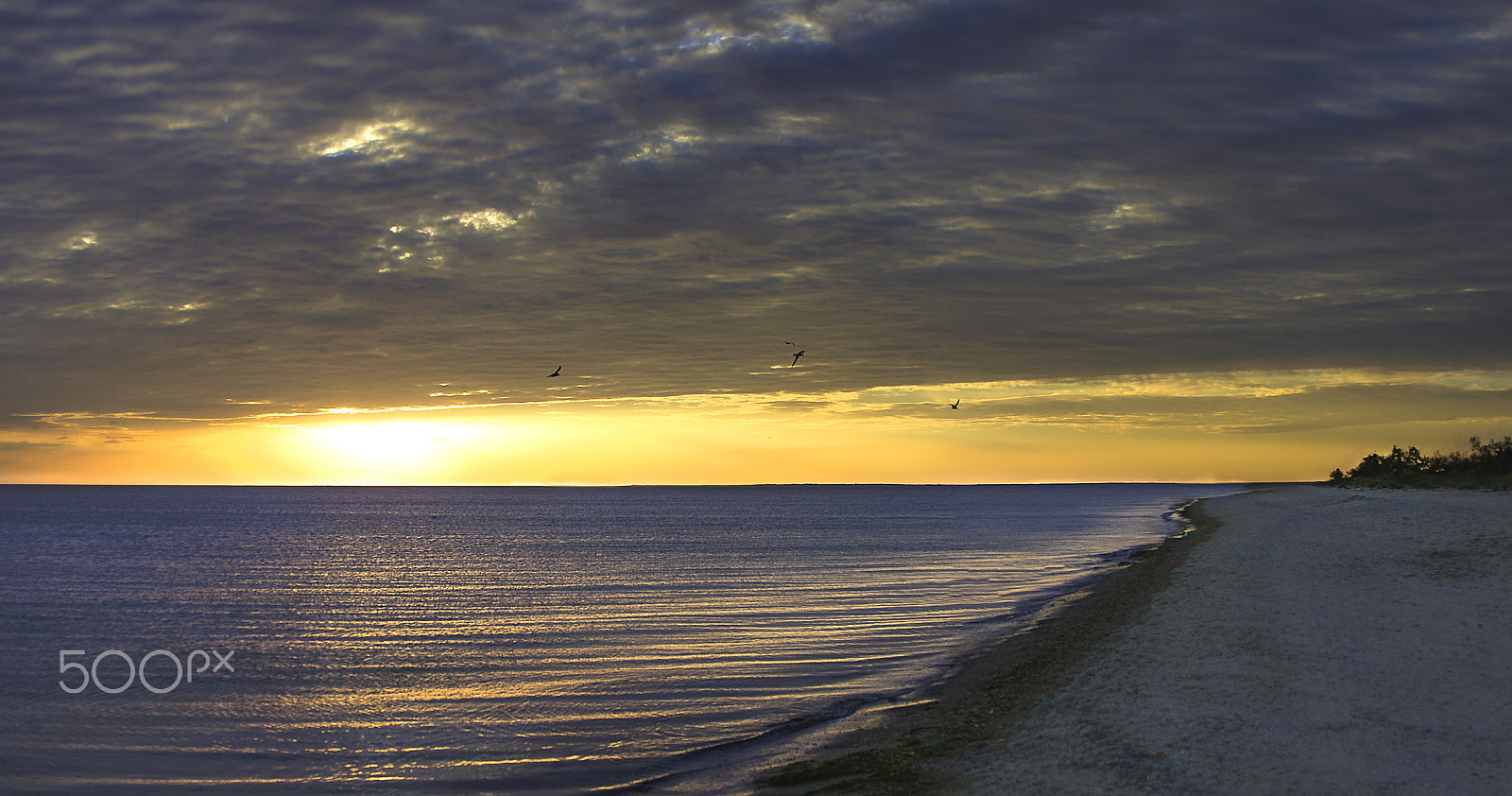 Canon EF 24-85mm F3.5-4.5 USM sample photo. Kinburn sunset panorama photography