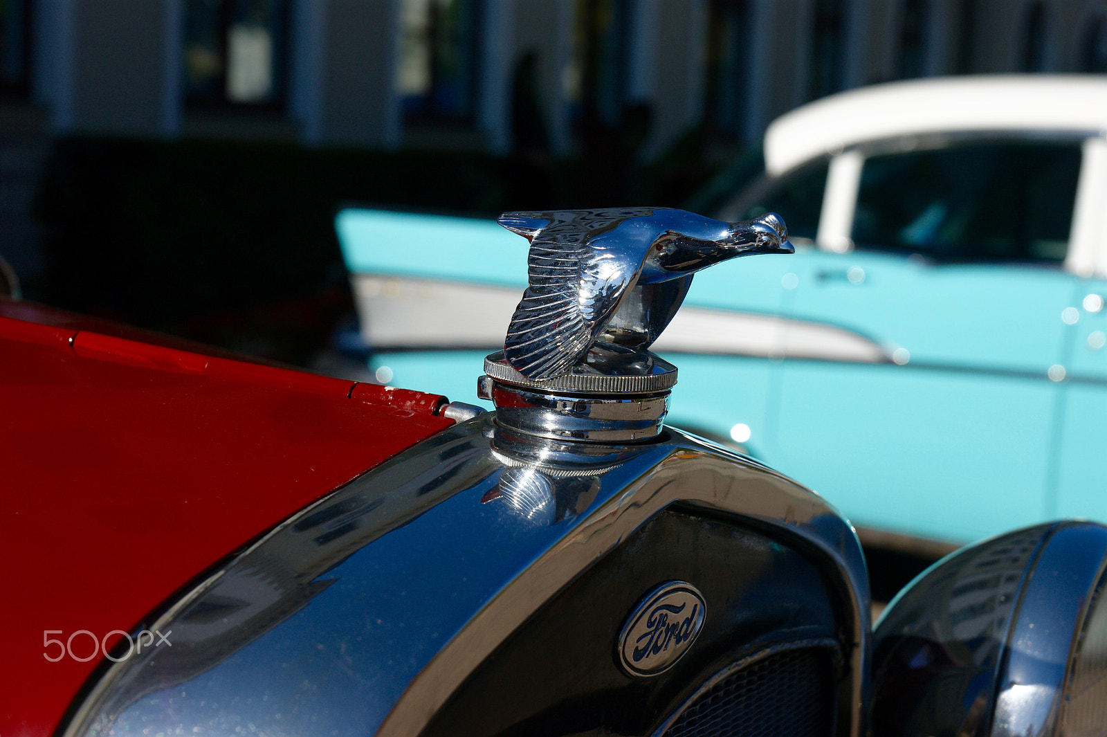 Sony Alpha DSLR-A290 + Sony DT 16-50mm F2.8 SSM sample photo. Odies but goldies photography