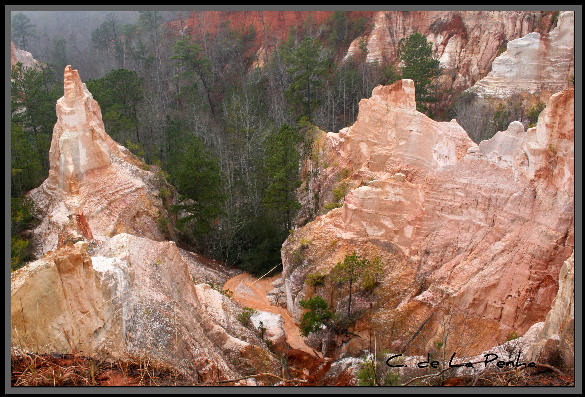 Canon EOS 400D (EOS Digital Rebel XTi / EOS Kiss Digital X) sample photo. Providence canyon georgia o photography