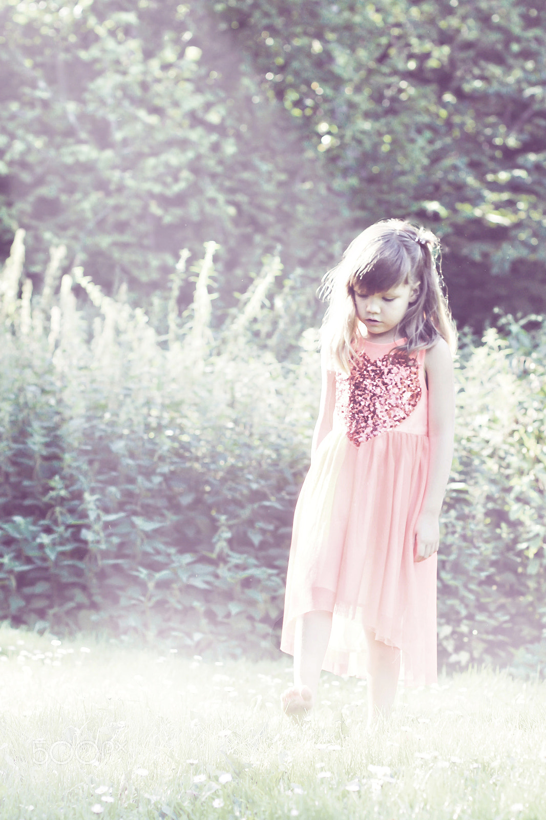 Canon EOS 700D (EOS Rebel T5i / EOS Kiss X7i) + Canon EF 50mm F1.4 USM sample photo. Malou photography
