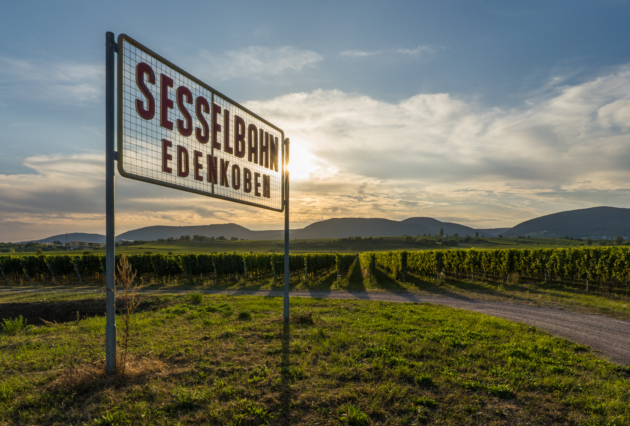 Sony FE 28mm F2 sample photo. In der pfalz photography