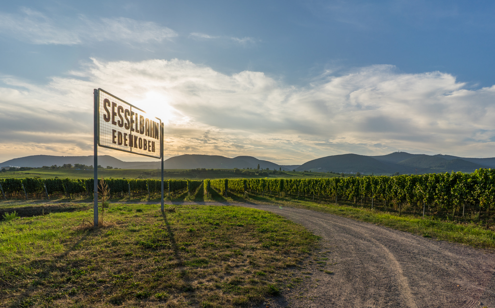 Sony FE 28mm F2 sample photo. In der pfalz photography