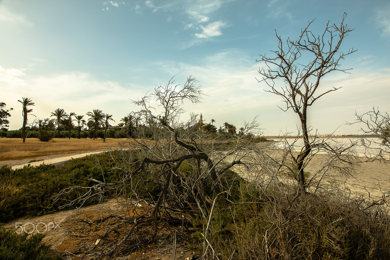 Canon EOS 70D + Sigma 12-24mm F4.5-5.6 II DG HSM sample photo. Mg photography