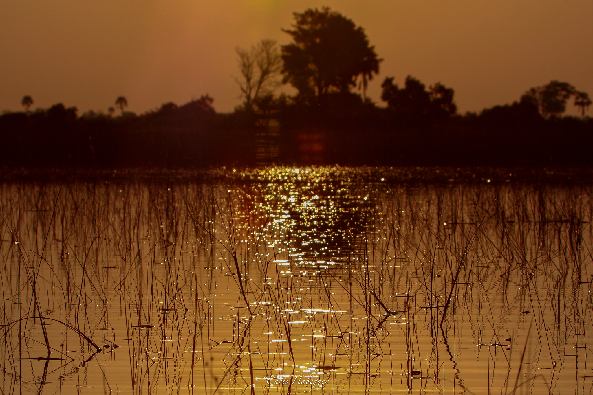 Canon EF 100-400mm F4.5-5.6L IS USM sample photo. Okavango sunset photography