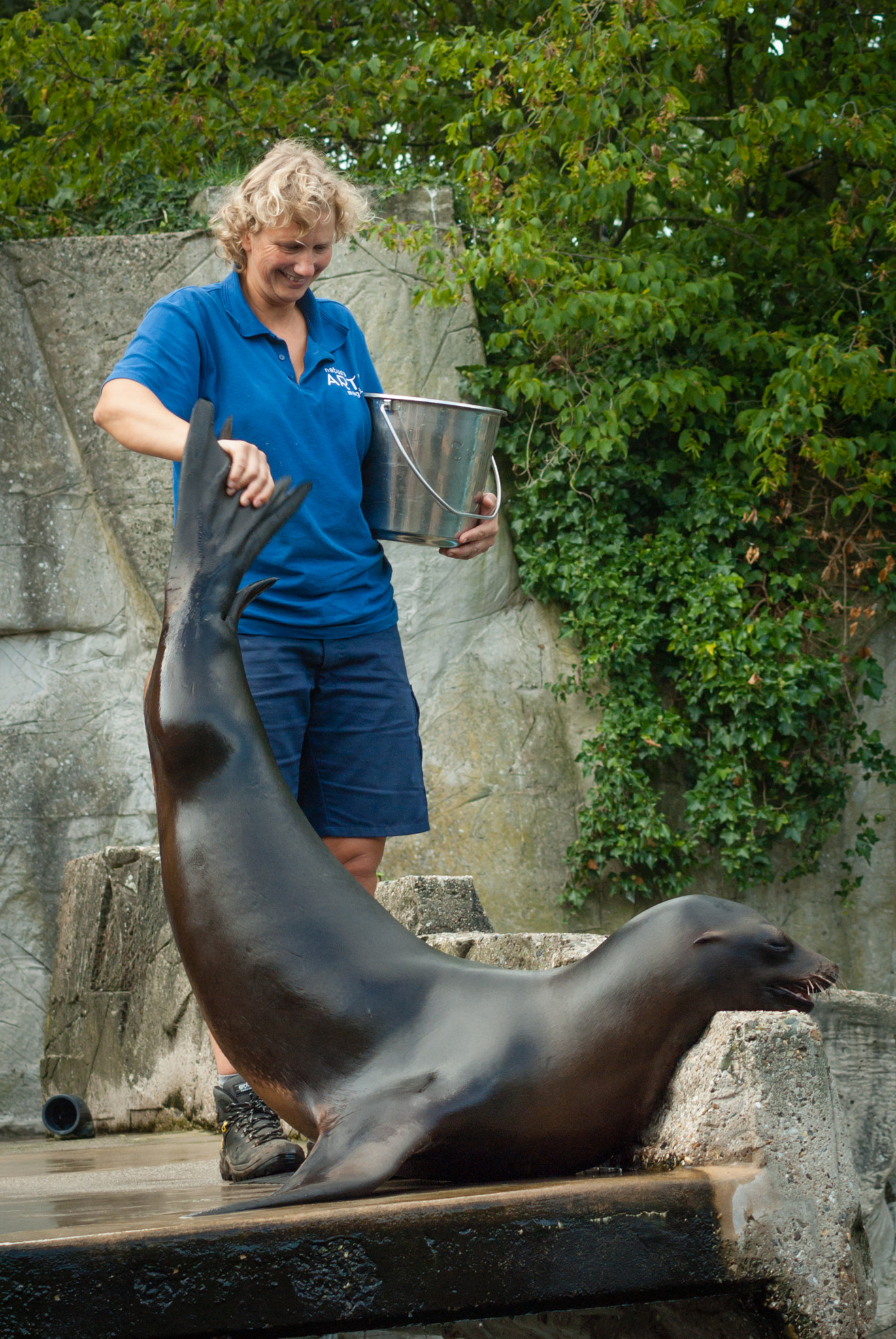 Pentax K10D sample photo. Sea lion tail check photography