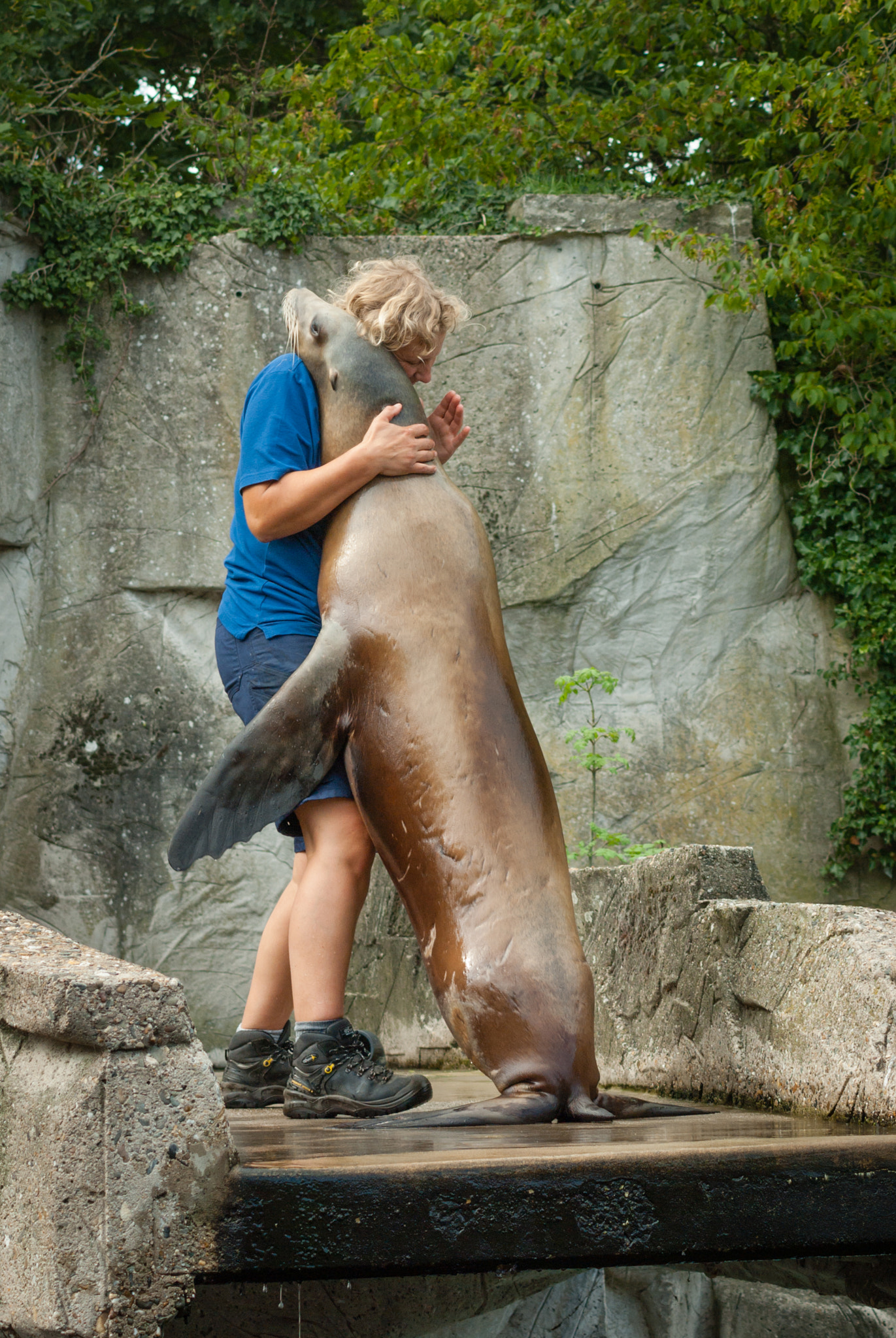 Pentax K10D sample photo. Sea lion hug photography