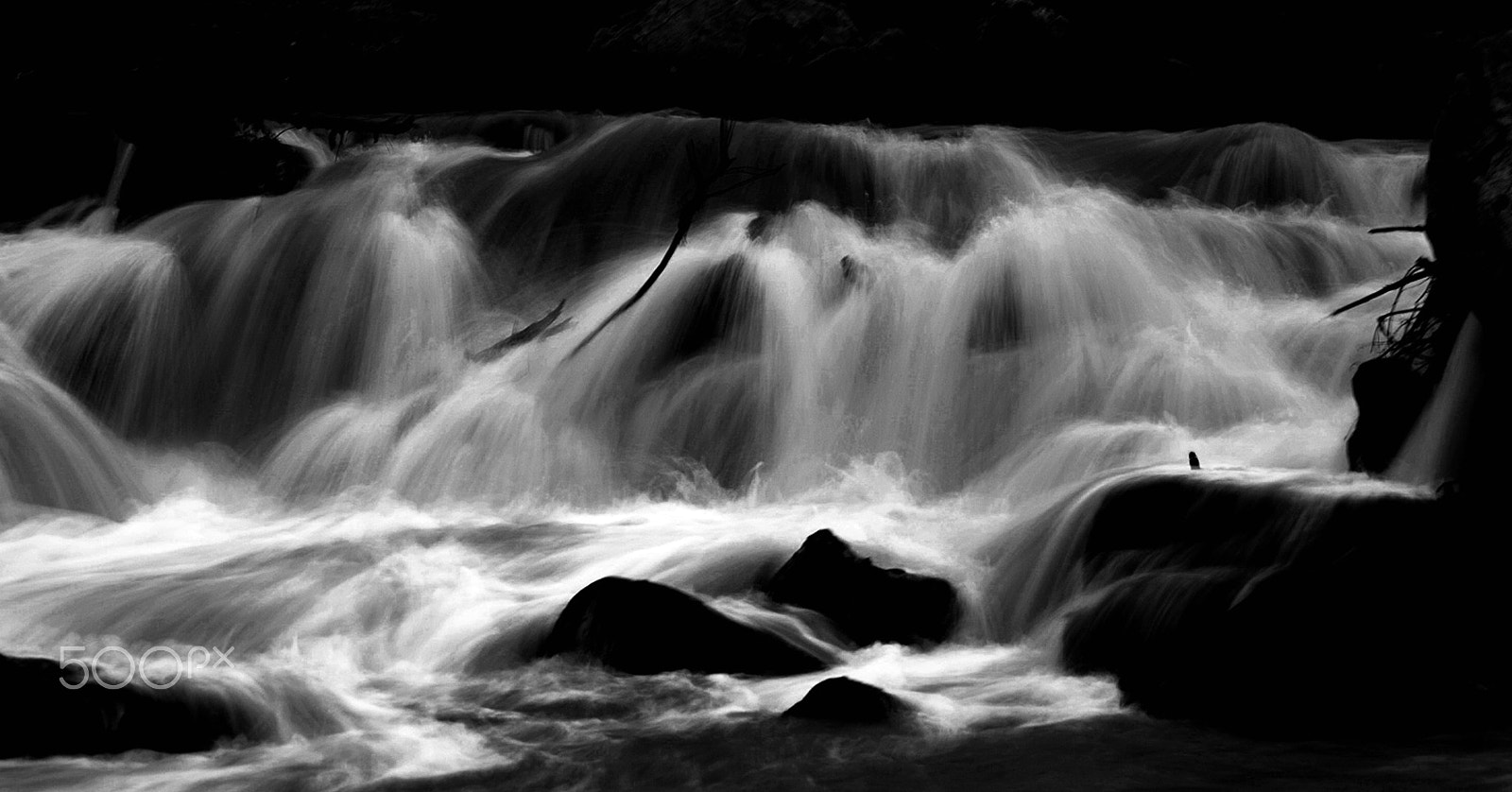 Nikon D800E sample photo. Uncompahgre river in moonlight photography