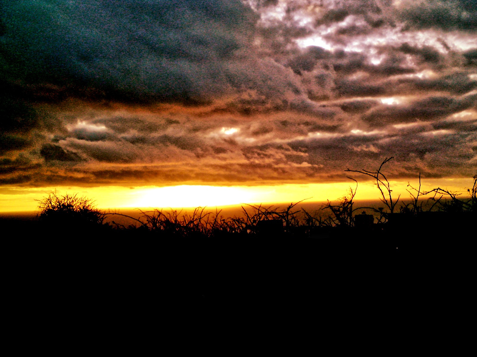 Sony Ericsson C902 sample photo. ... photography